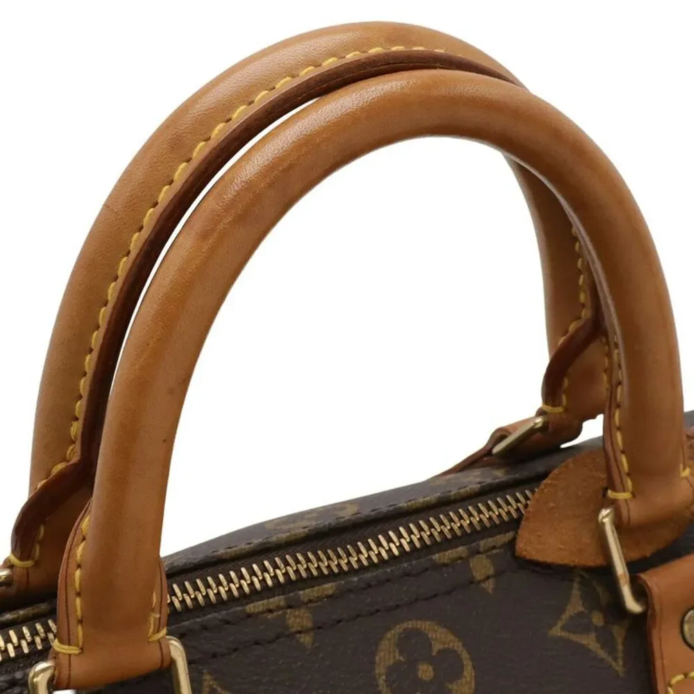 Louis Vuitton Speedy Monogram Bag